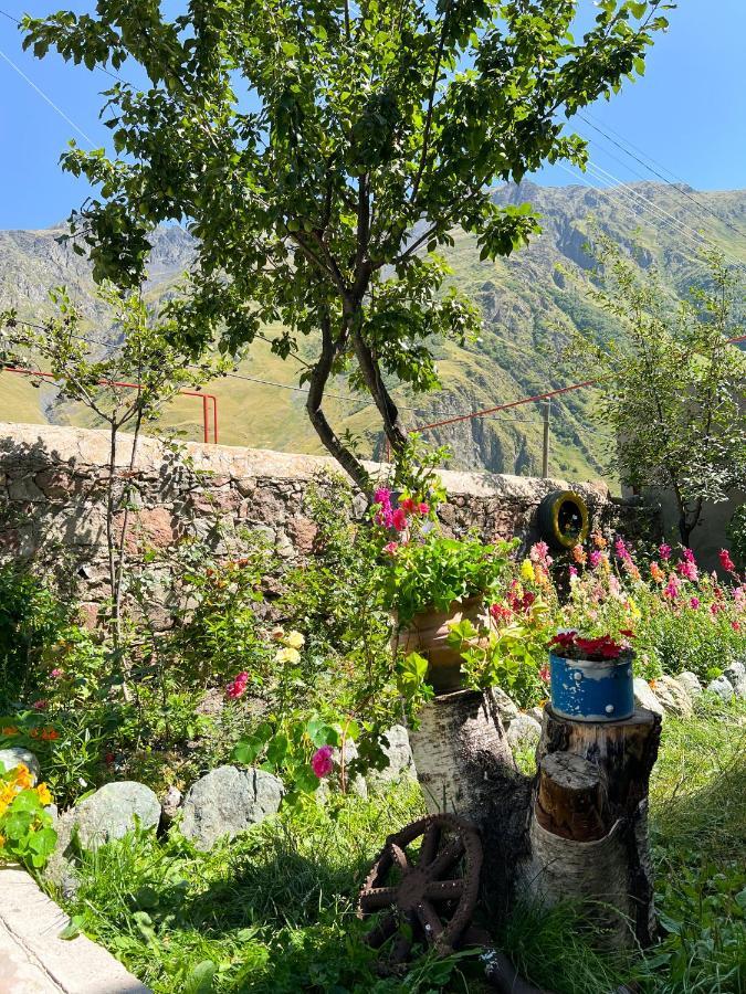 Ia'S Guest House Kazbegi Ngoại thất bức ảnh