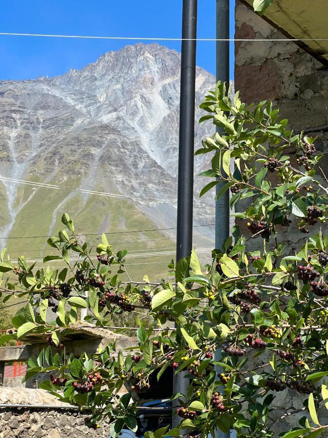 Ia'S Guest House Kazbegi Ngoại thất bức ảnh