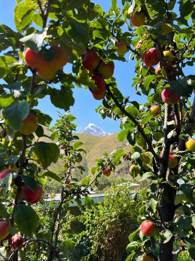 Ia'S Guest House Kazbegi Ngoại thất bức ảnh