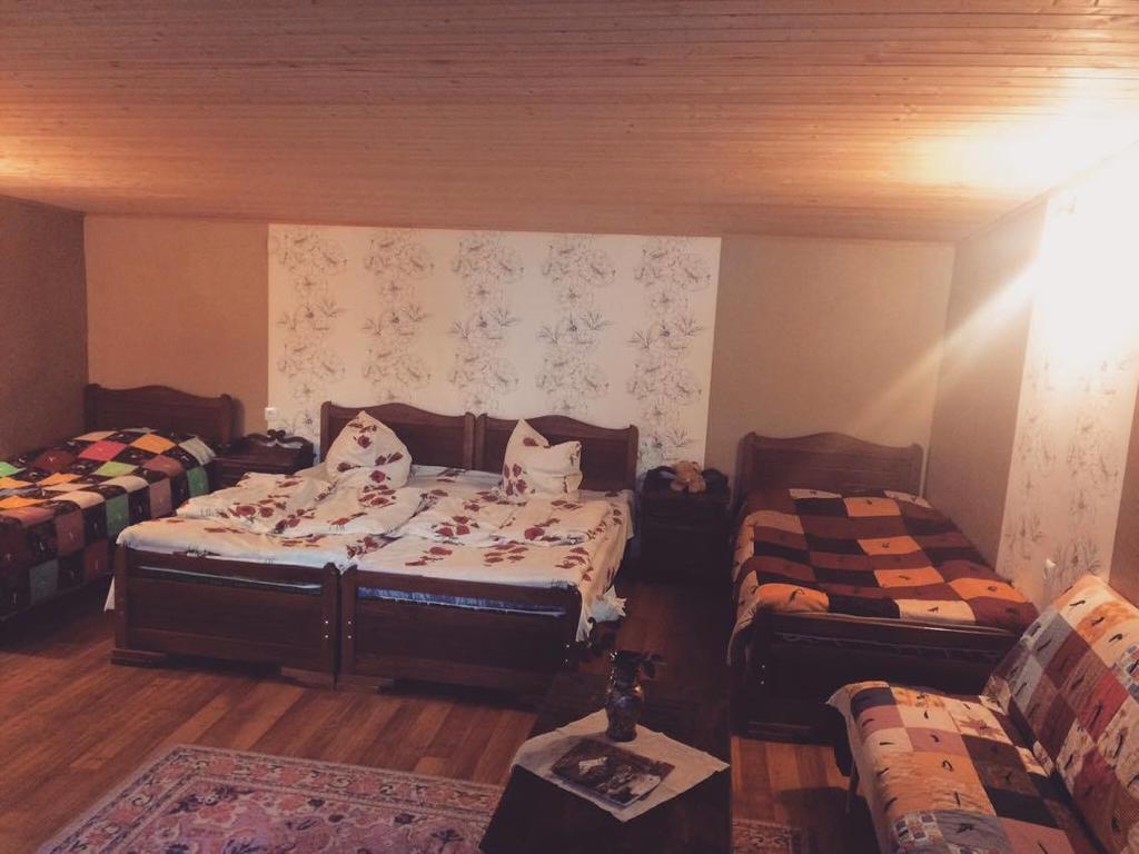 Ia'S Guest House Kazbegi Ngoại thất bức ảnh